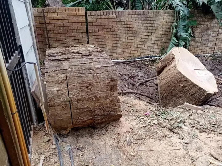 Trunk sections beside a wall, ready to load