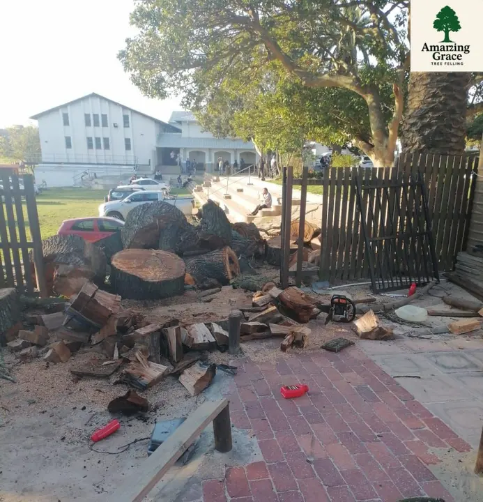 Cut rounds stacked on a paved path