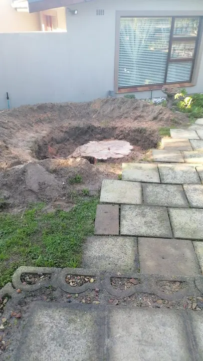 Stump removed beside a garden path